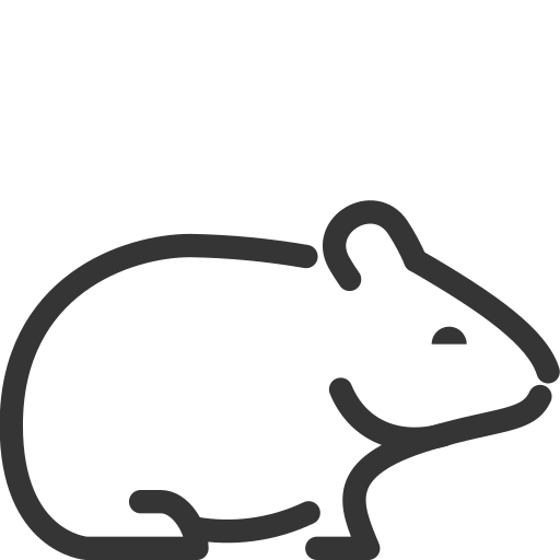 Cane